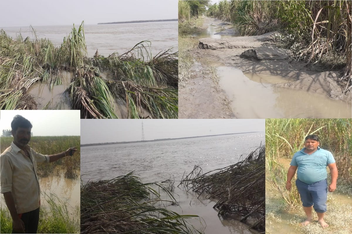 Crops have been ruined by rain and floods in western UP villages and see photos