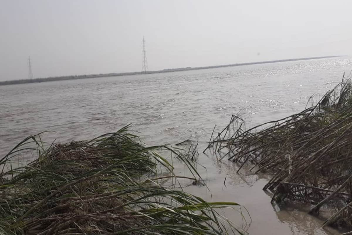Crops have been ruined by rain and floods in western UP villages and see photos