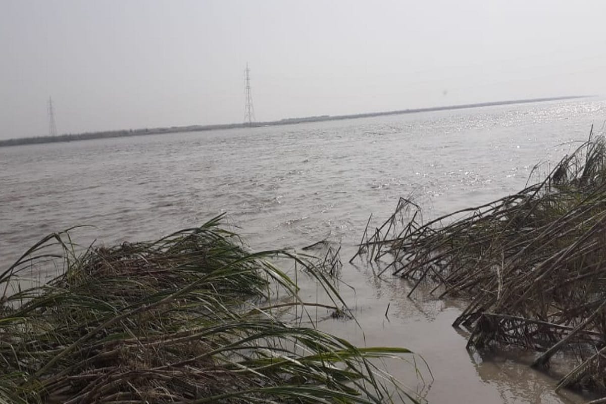 Crops have been ruined by rain and floods in western UP villages and see photos