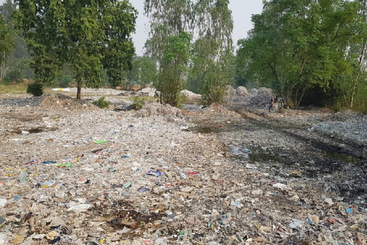 Crops have been ruined by rain and floods in western UP villages and see photos