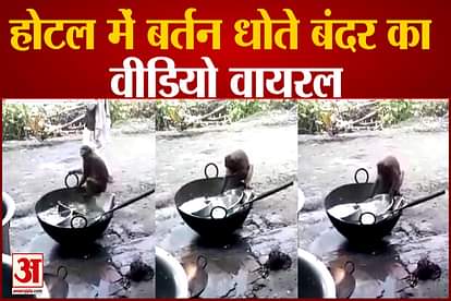 viral video of monkey washing utensils after that eat food in amethi's hotel
