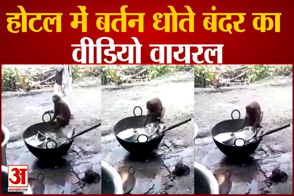 वायरल वीडियो