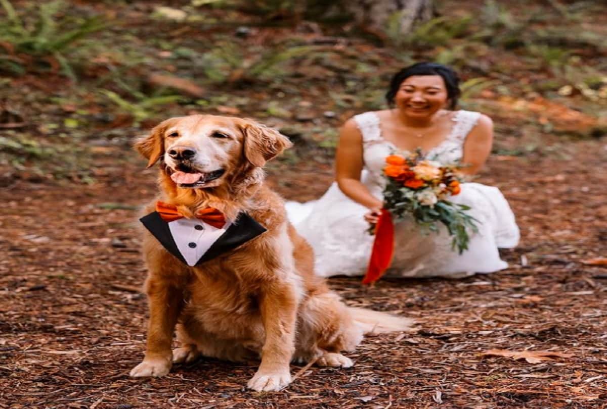 bride first look wedding photos with her dog photos goes viral on social media