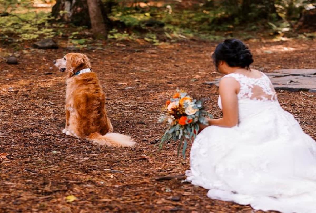 bride first look wedding photos with her dog photos goes viral on social media