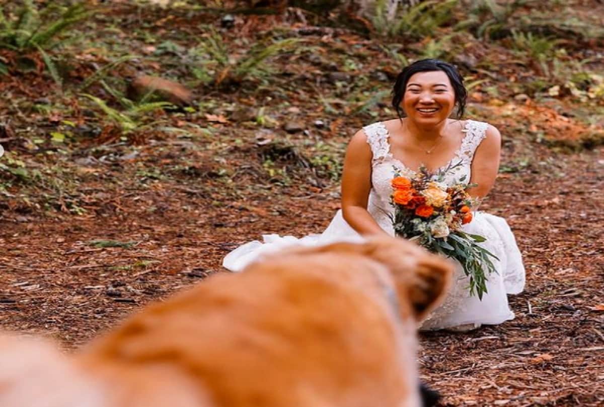 bride first look wedding photos with her dog photos goes viral on social media