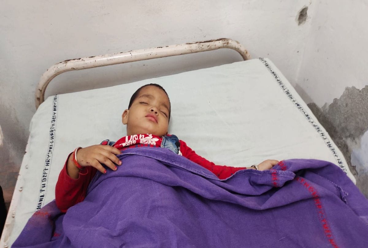 Family Of Shivkumar Goes Goga Medi For Worship Of Baba Jaharveer Death Of Eight Persons