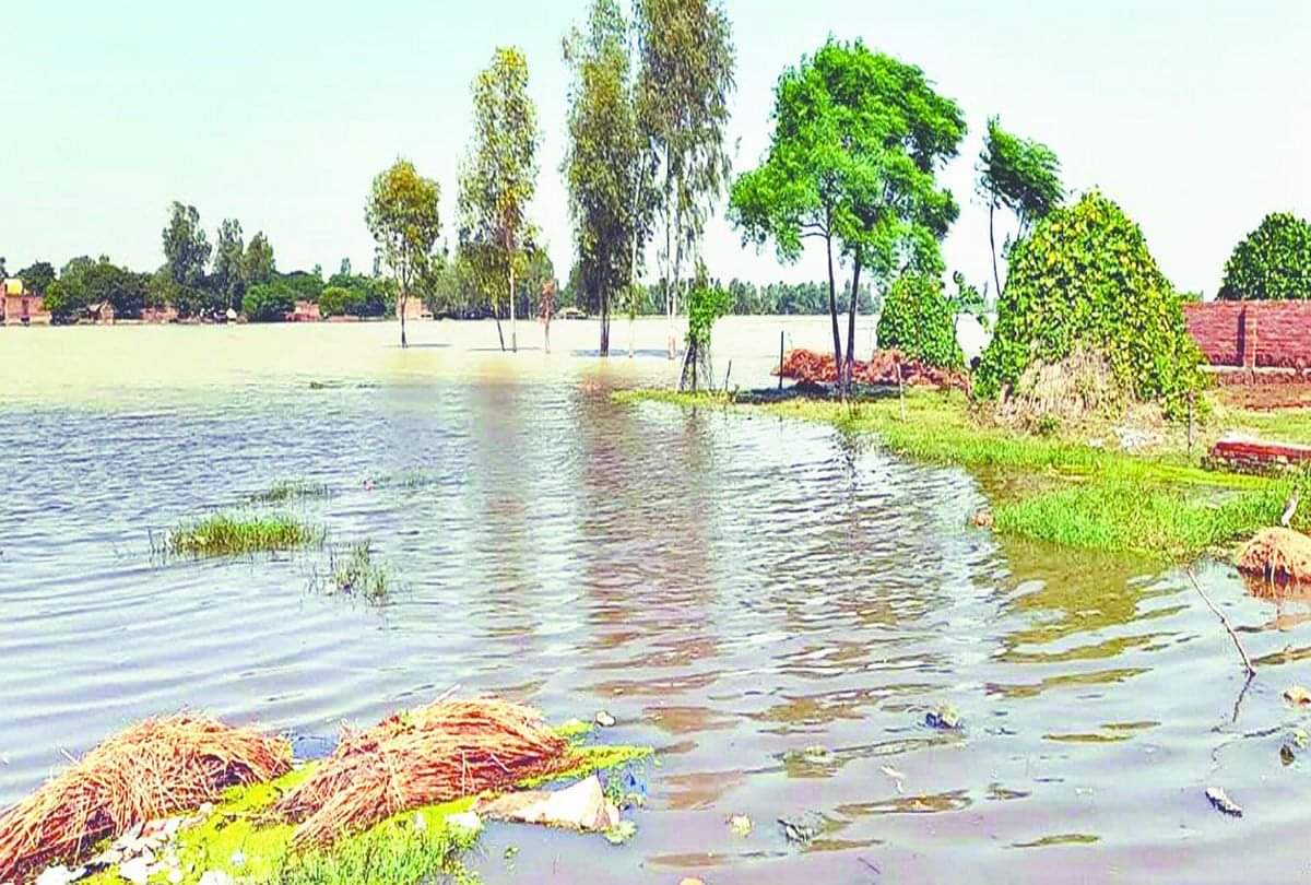 Flood Situation In Kasganj District Near Ganga Coastal Areas