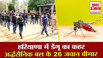 Dengue Cases Increasing  In Haryana