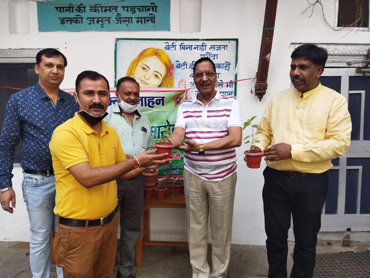 lions club nahan distributed tulsi  plants to teachers