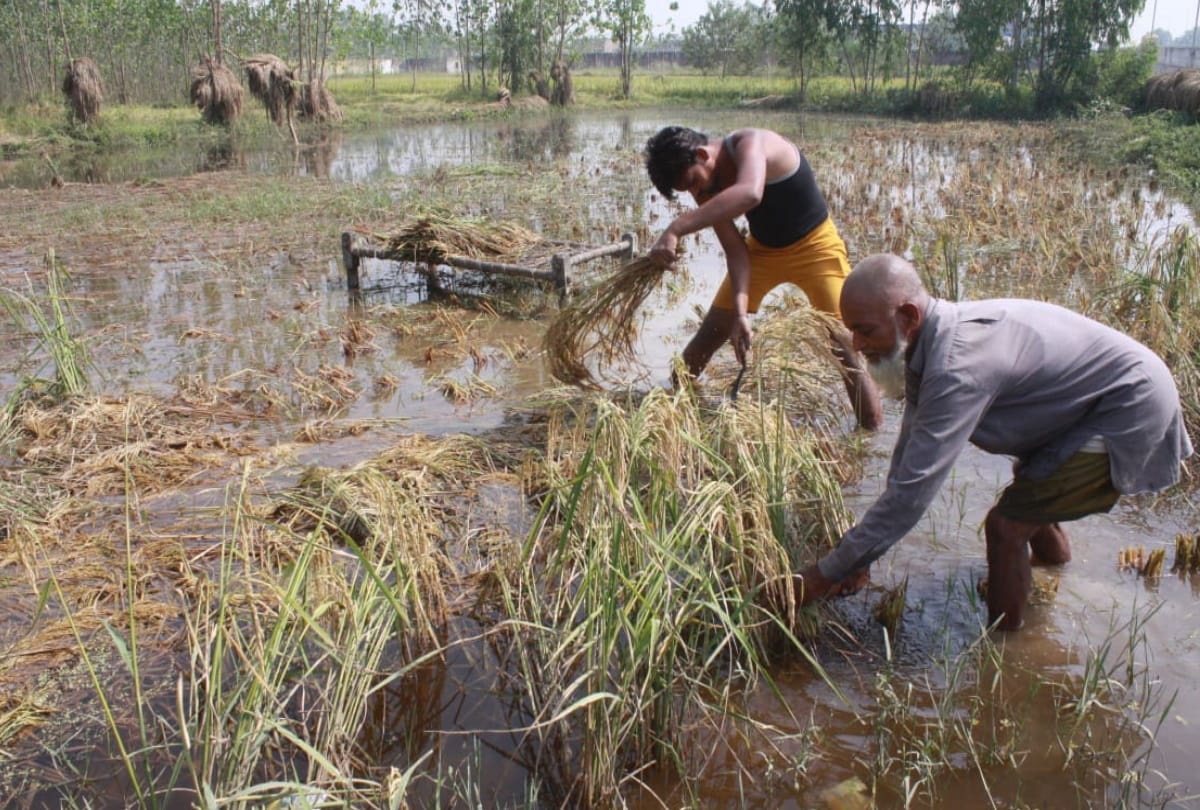 moradabad flood destroyed people hope many wedding disturbed read story and see photos