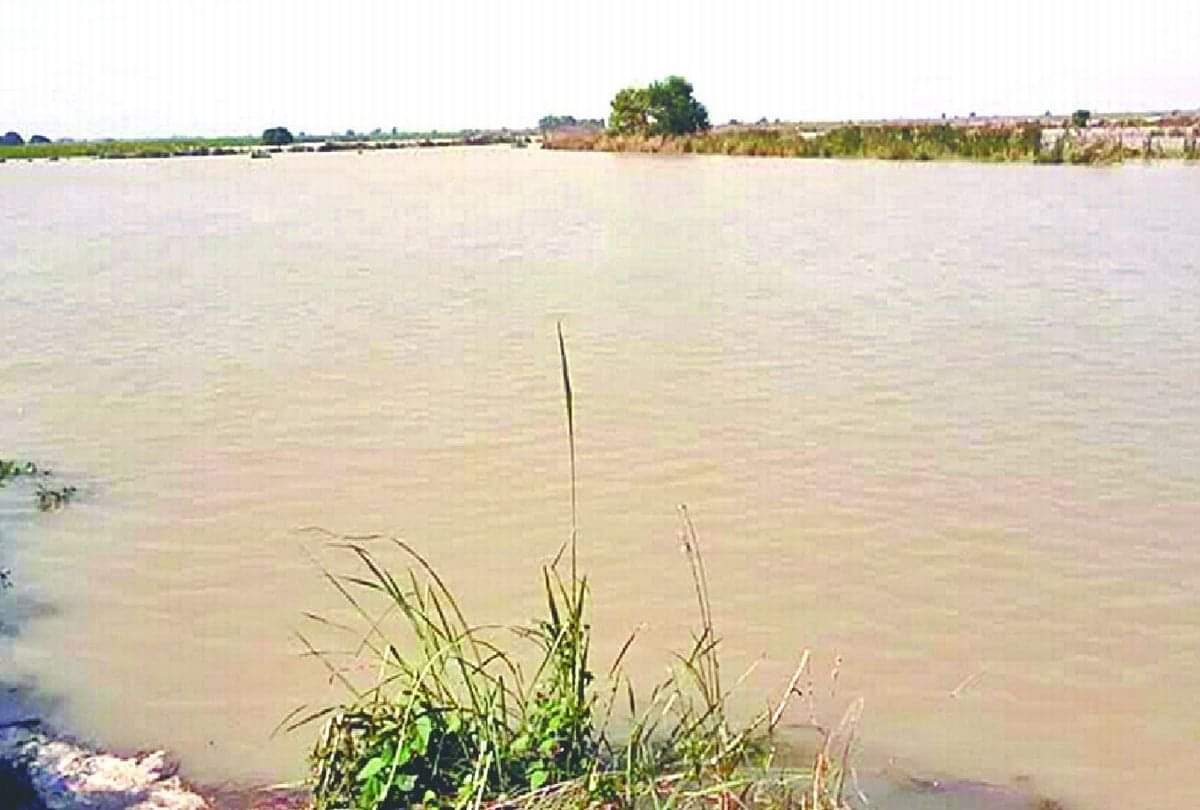 Flood Situation In Kasganj District Near Ganga Coastal Areas