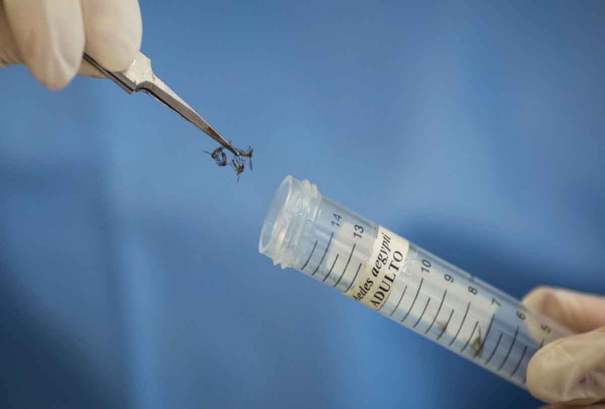 UP: Investigation is going on spread of Zika virus in Kanpur