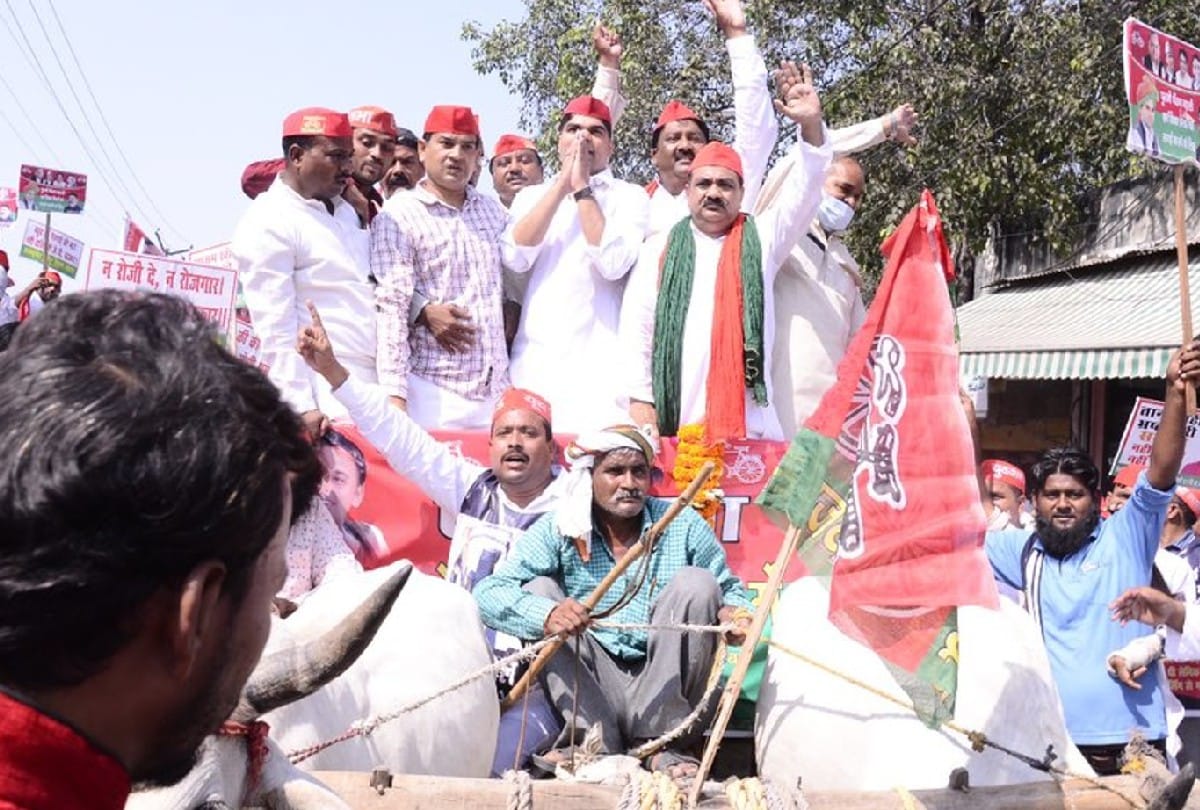 Samajwadi Party Protest Over Rising Inflation Kisan Bill Bullock Cart Overturn