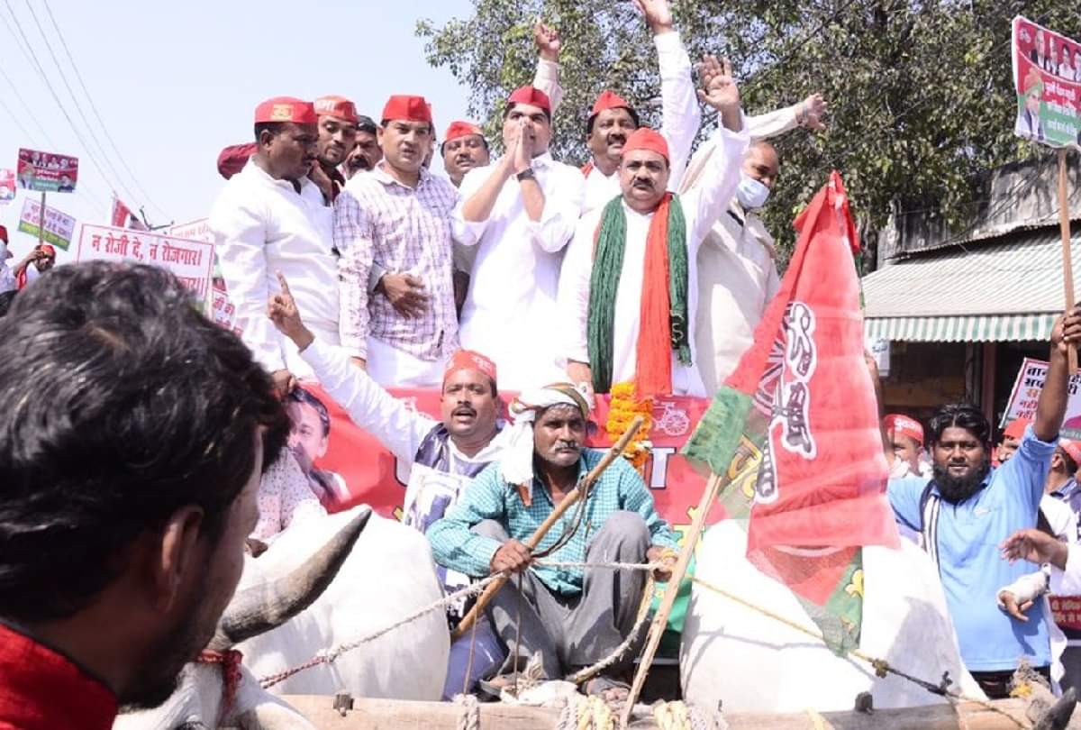 Samajwadi party bullock cart overturned during protest against inflation in firozabad