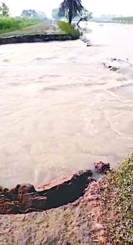 मुड़िया के पास कटा तटबंध।