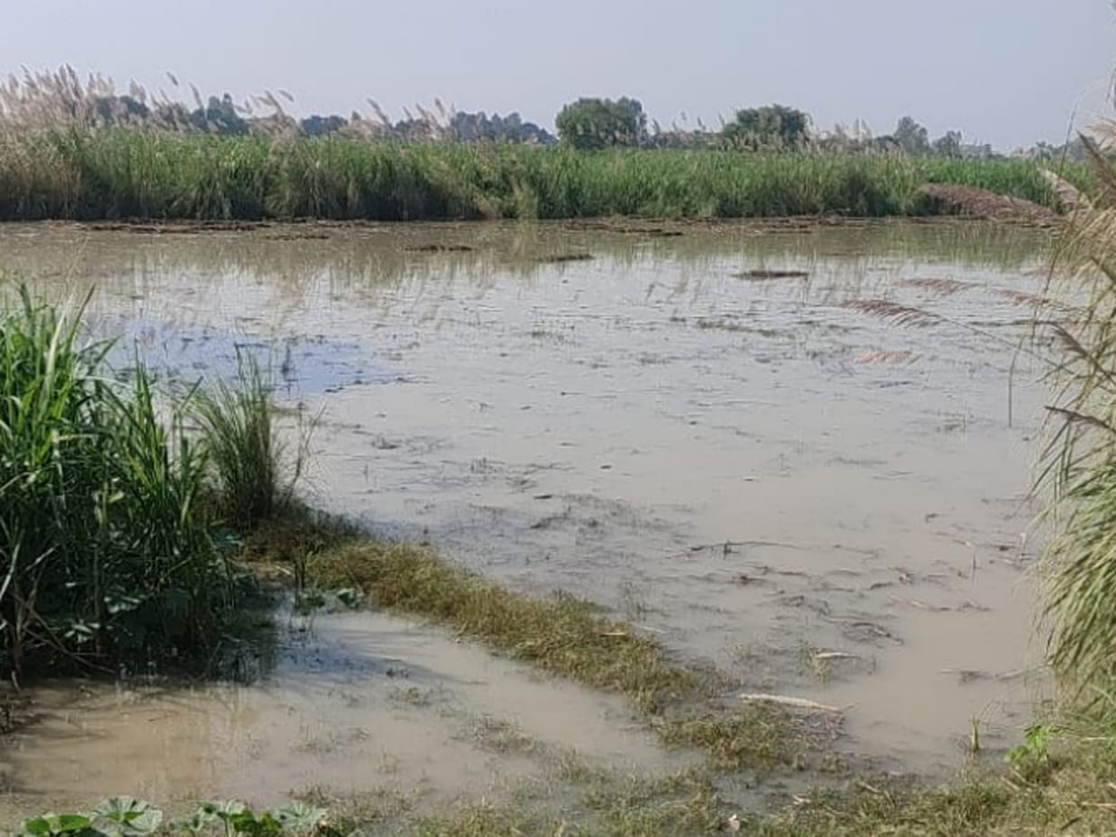 The water level of the Ganges has decreased, but the troubles remain