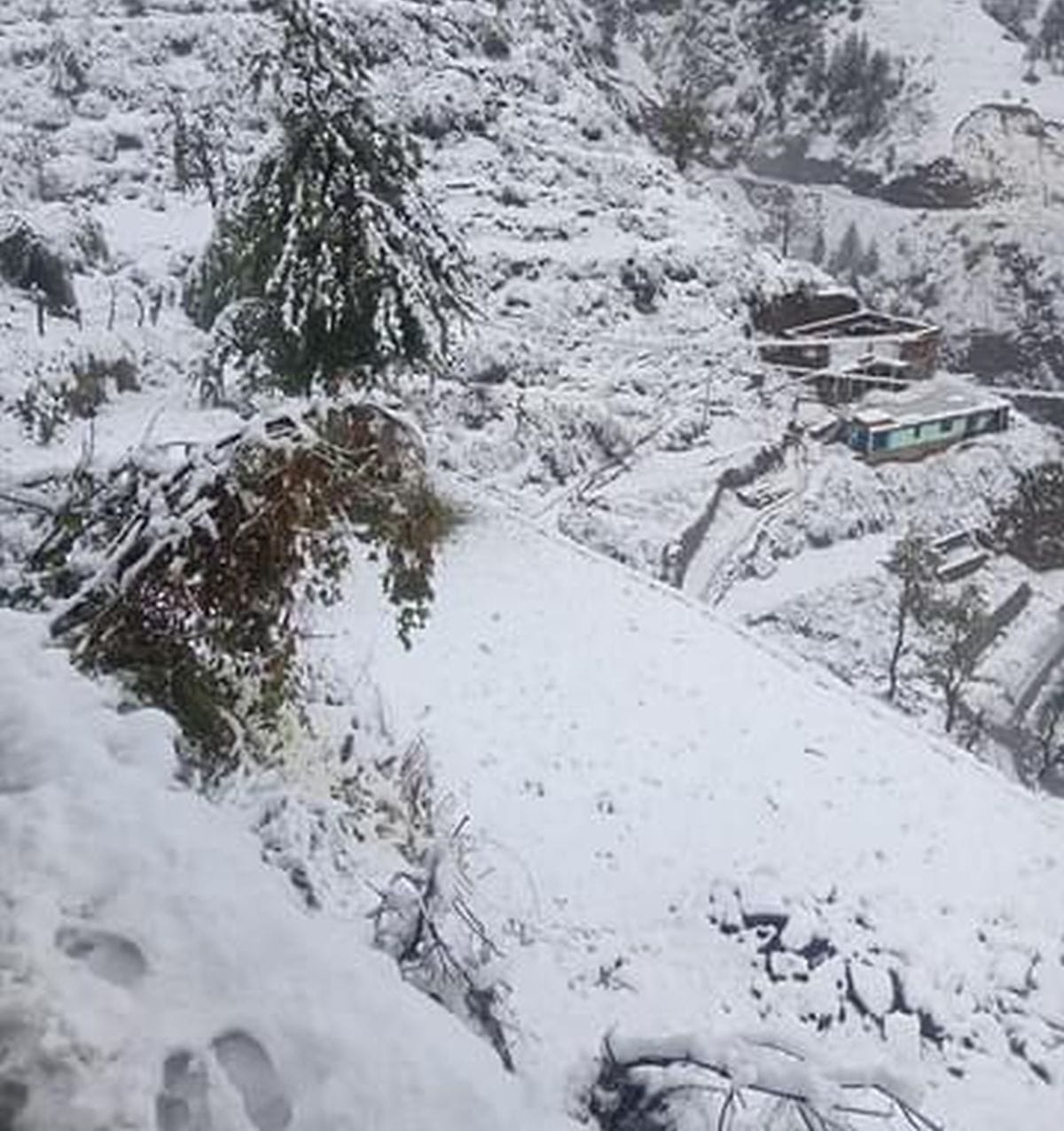 snow fall