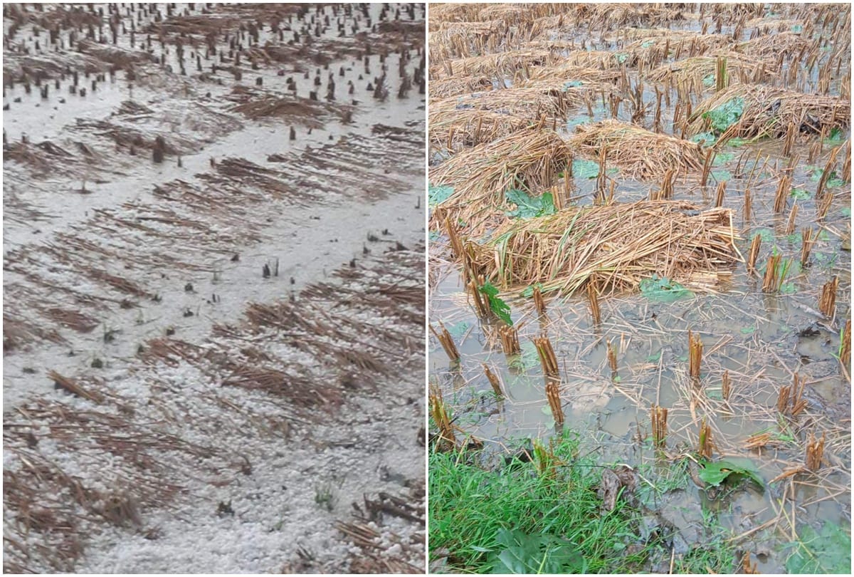 drizzle in all districts of western up including meerut heavy hailstorm in saharanpur