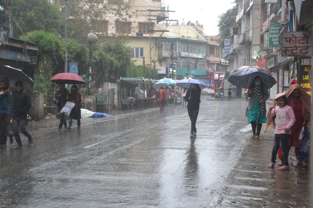 Farmers and orchardists jubilant after rain in Solan