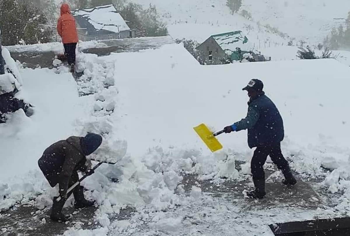 weather update himachal: fresh snowfall in rohtang keylong lahaul rain in shimla kangra hamirpur