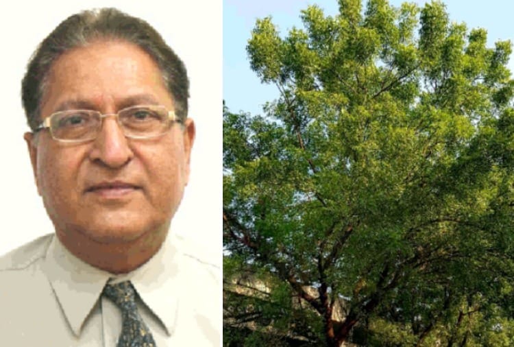 Prof RC Sobti promoting greenery in Panjab University