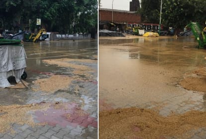 Hundreds of tons of farmers paddy got wet in the grain markets of Ludhiana