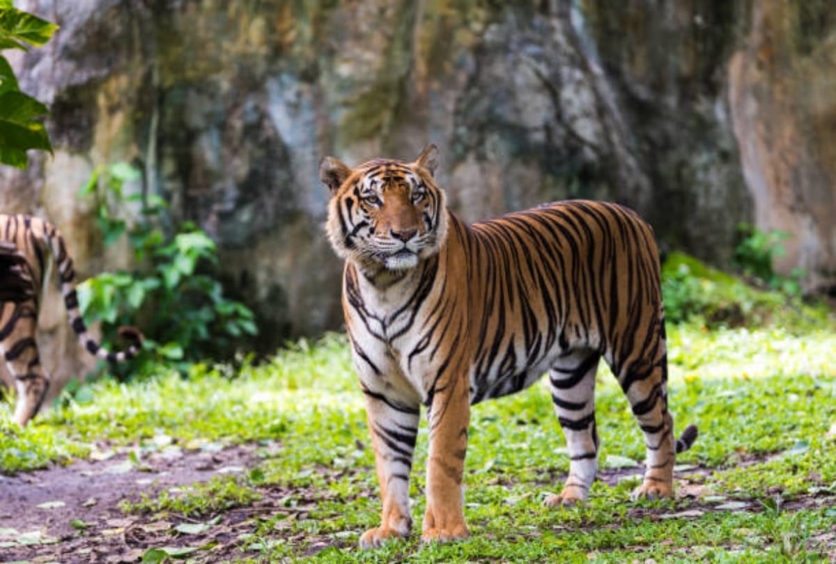 India best tourist traveling places to visit in November