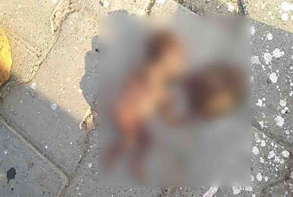 Jalaun: Embryo found lying in the garbage