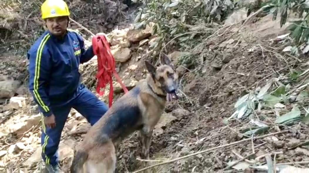 Team of SSB and Dog Squad engaged in search of people buried under the rubble