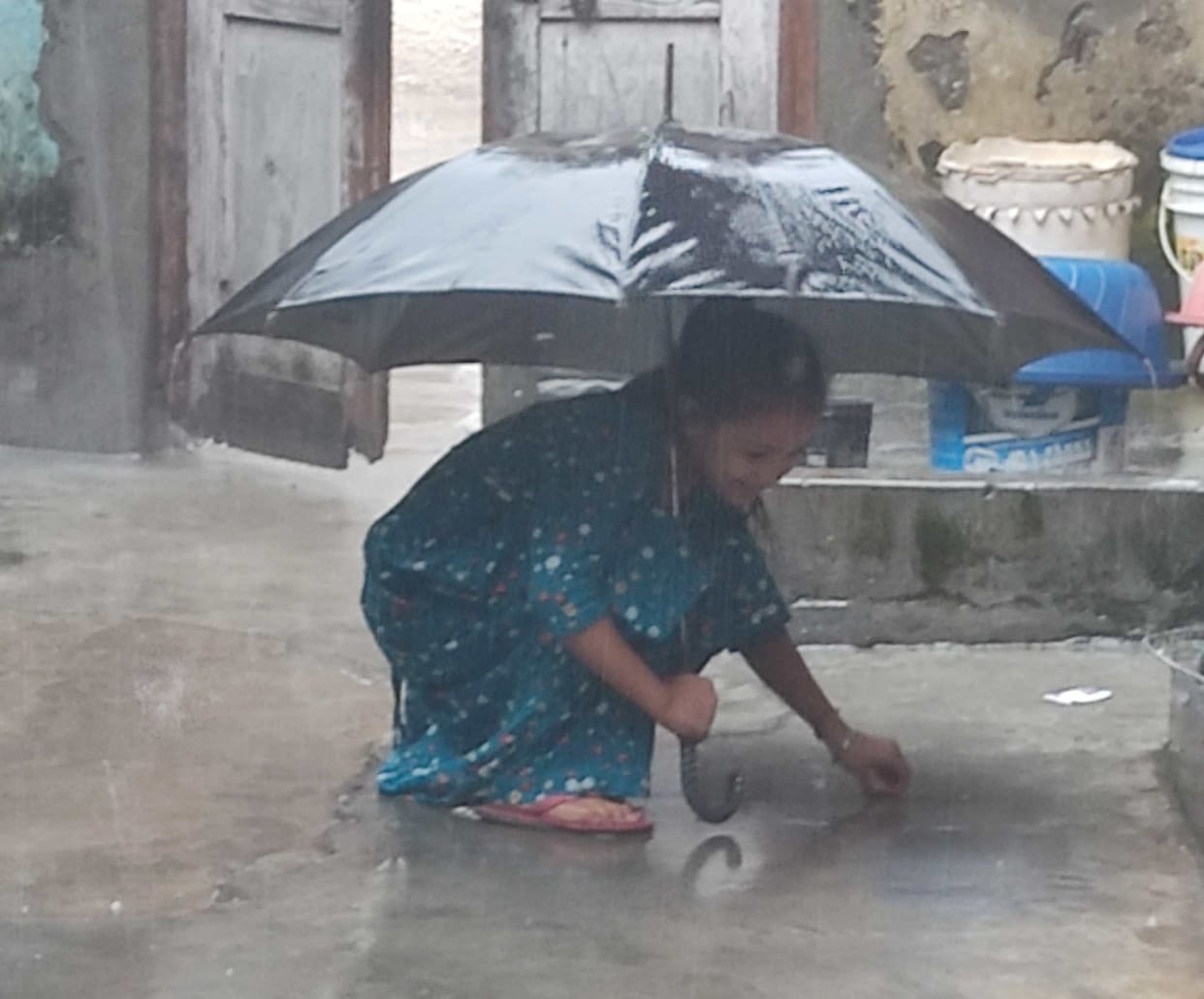 Paddy wasted in 17 thousand hectares due to unseasonal rain, hailstorm, Yamunanagar