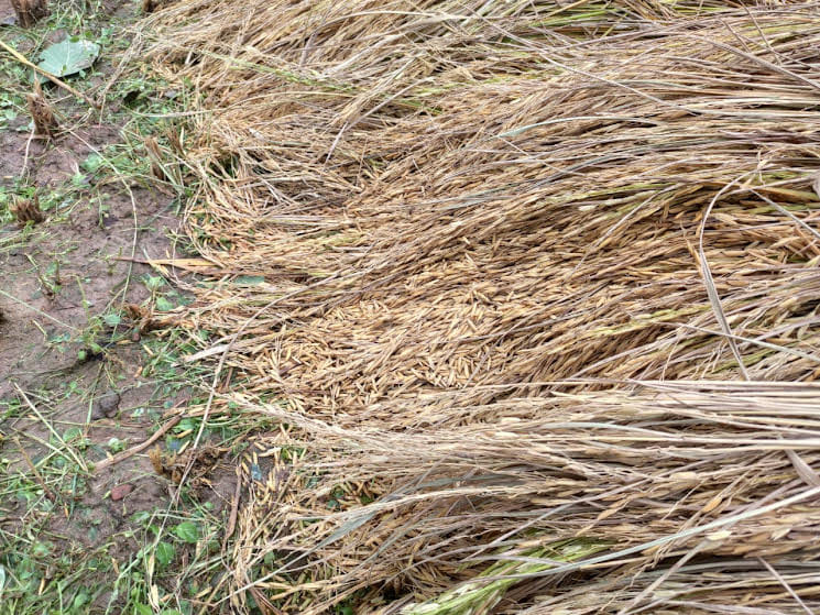 heavy rainfall problem