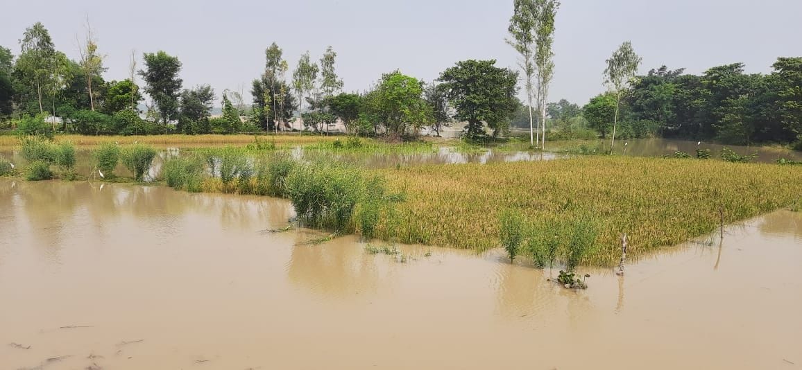Saryu water started decreasing