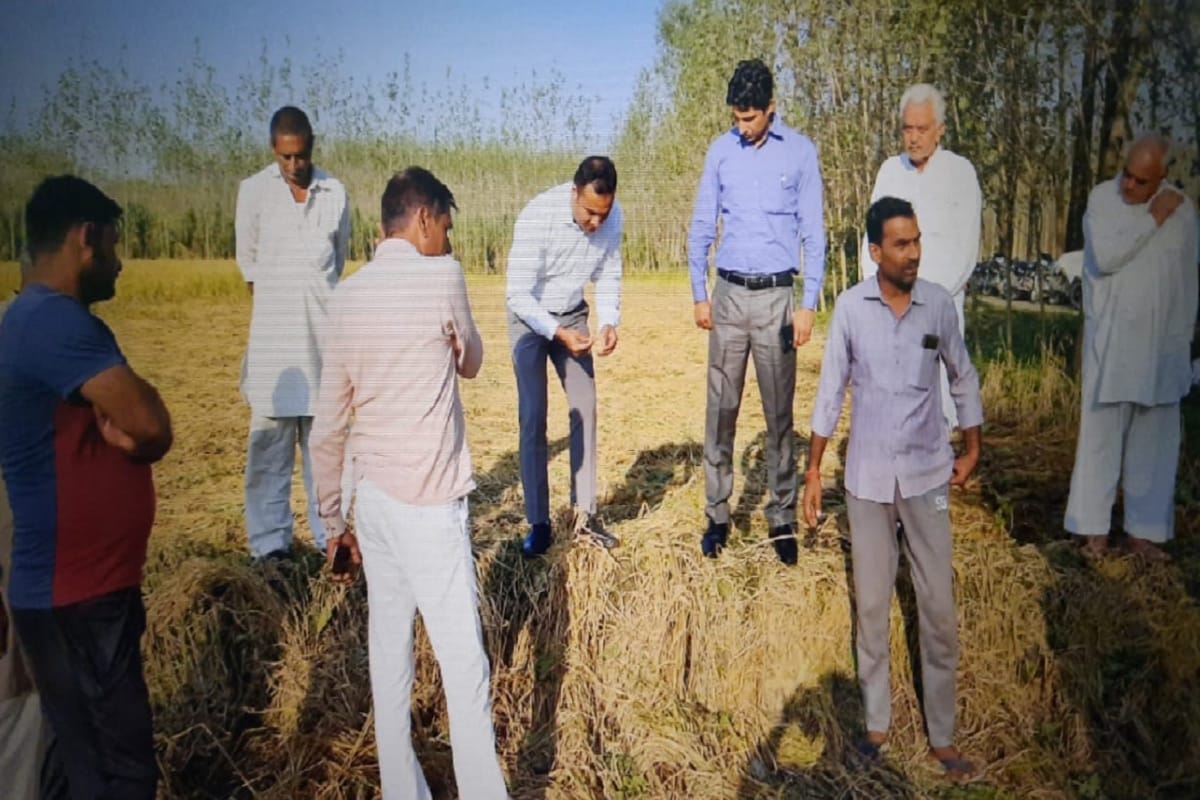 UP News: crops worth 1.5 crore farmers have been ruined in 13 villages due to rain and hailstorm in Saharanpur district