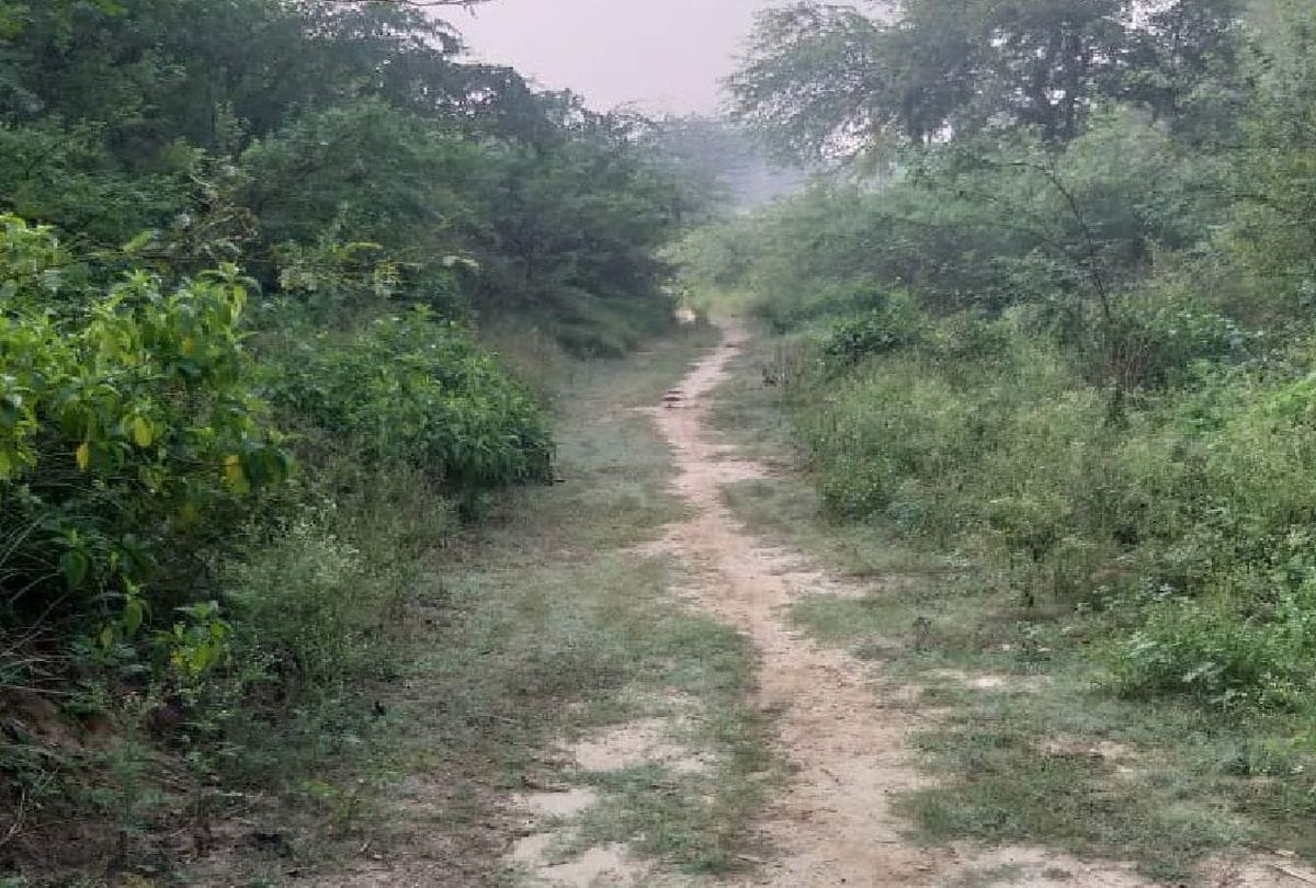 Dangerous potholes on the roads of Heritage Village Holipura in Agra