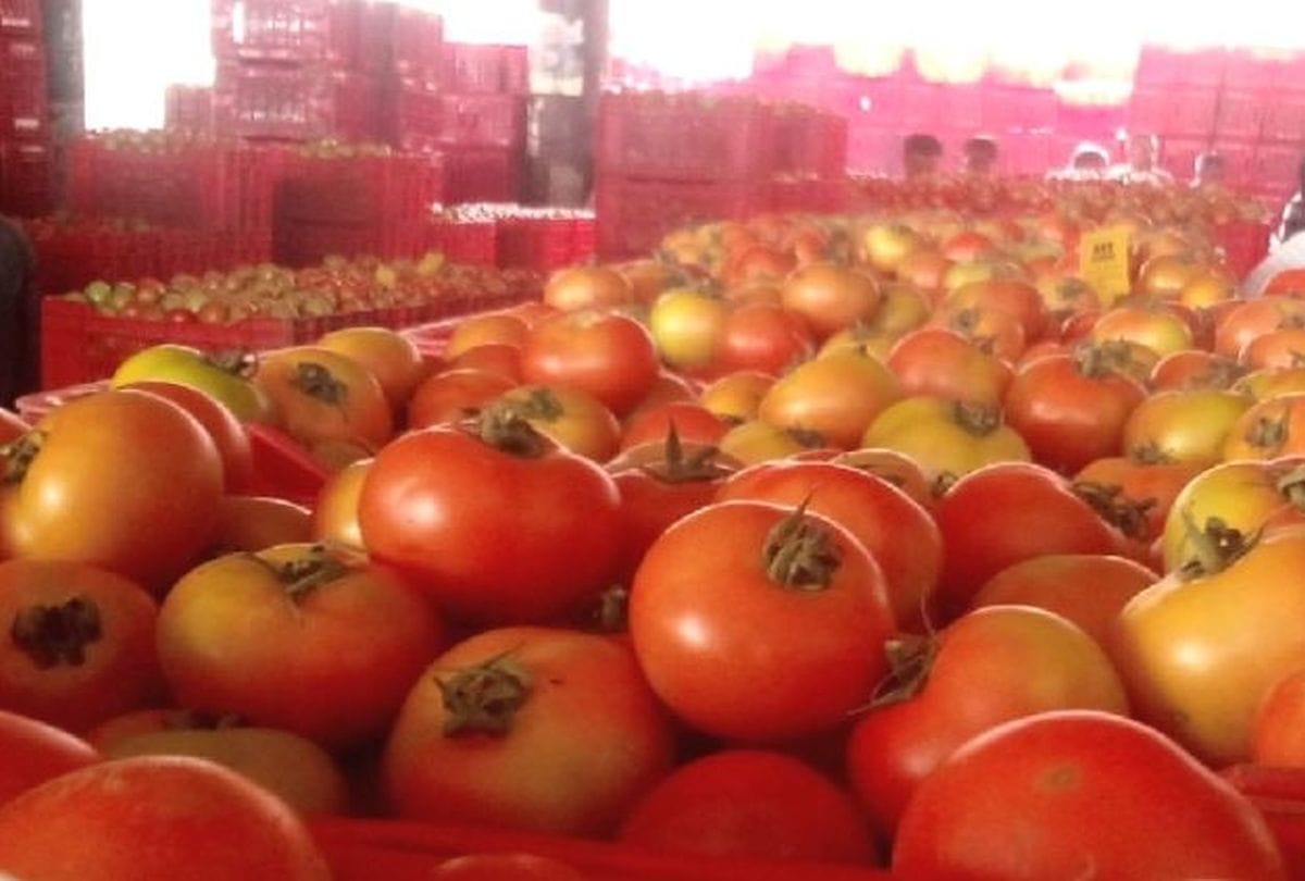green vegetables prices increasing in festive season in mainpuri