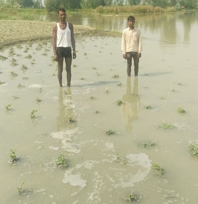Ganga near danger mark, crops submerged