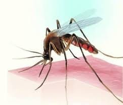 Three dengue positive patients found in Sangramgarh, admitted to CHC