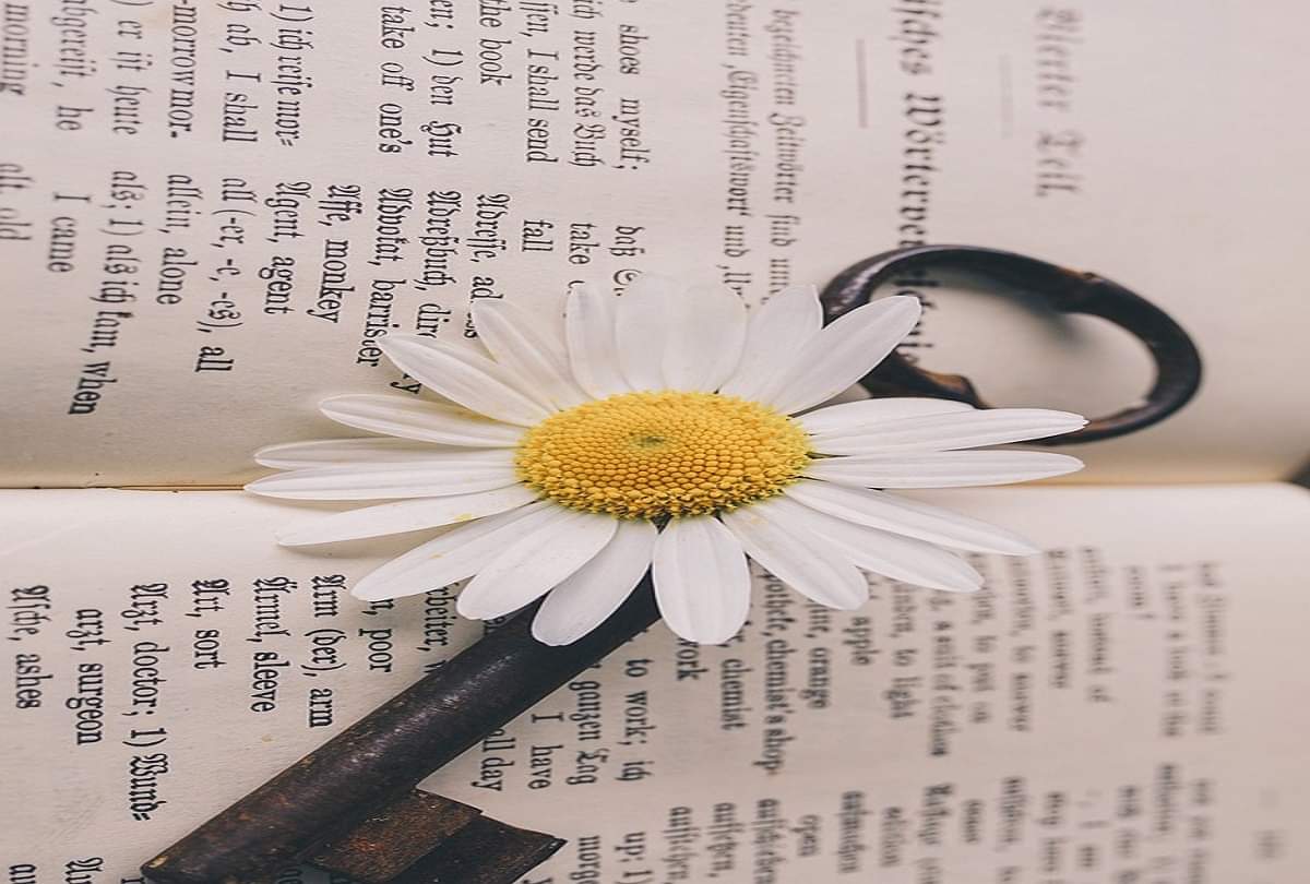 funny and weird laws in pakistan surprised to know about them