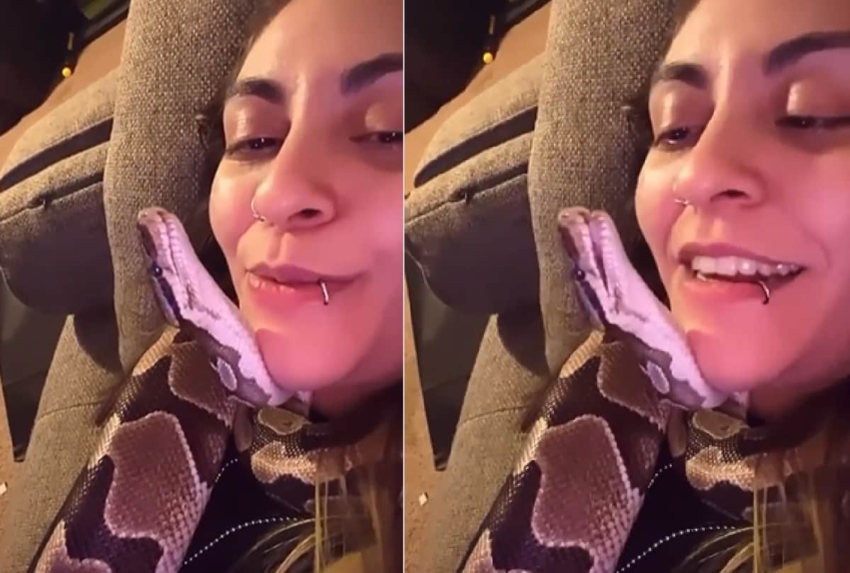 this girl loves snake and kissed repeatedly and sleeping with video goes viral on social media