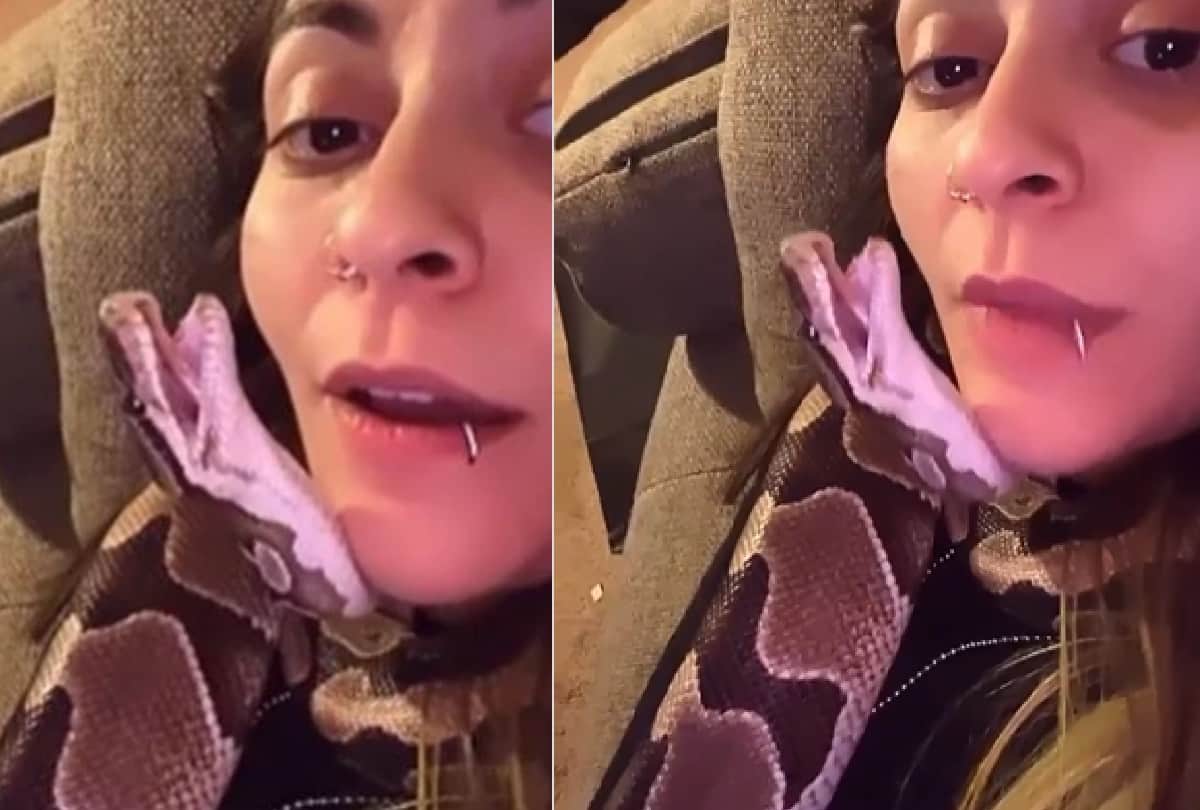 this girl loves snake and kissed repeatedly and sleeping with video goes viral on social media