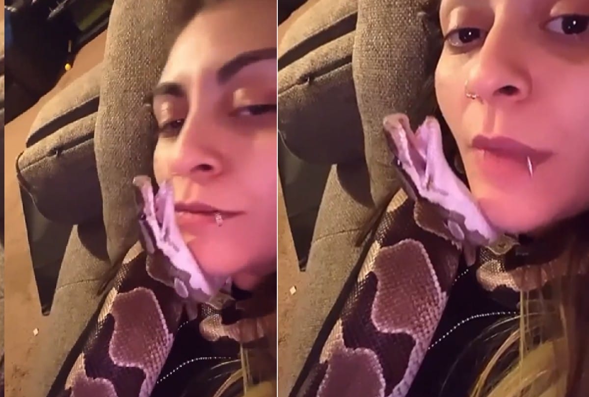 this girl loves snake and kissed repeatedly and sleeping with video goes viral on social media