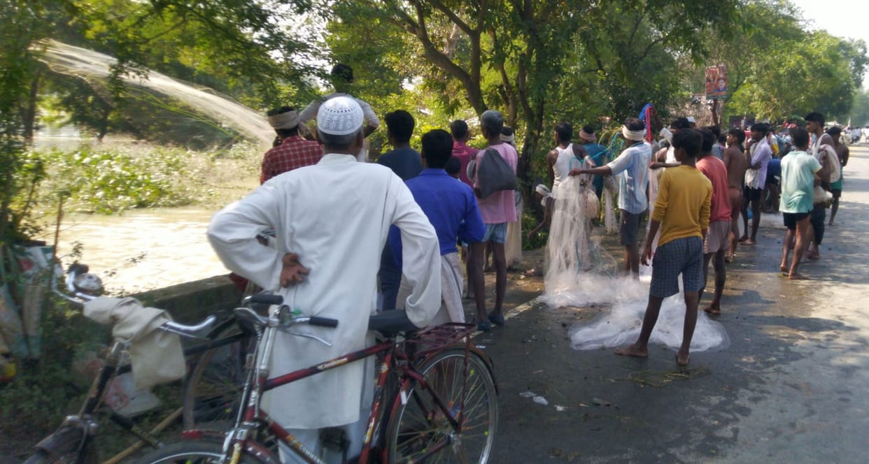 Earning by catching the fish in the flood