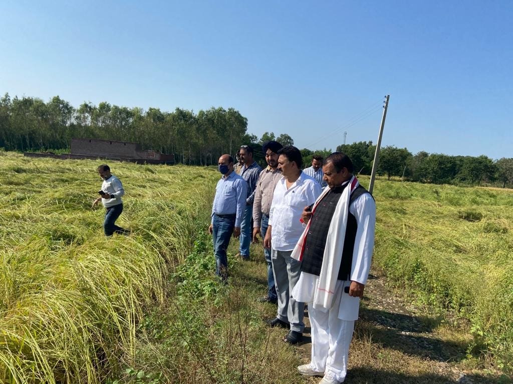 agriculture