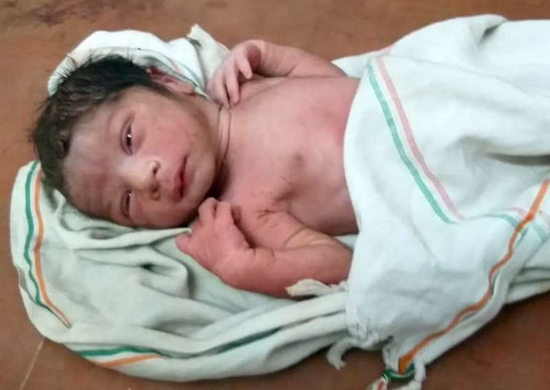 Newborn found in the bushes on the banks of the pond