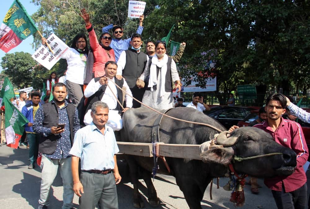 Dehradun News: UKD  Bhainsa Buggi Rally against Inflation and Unemployment Photos