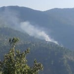 पुंछ के जंगल