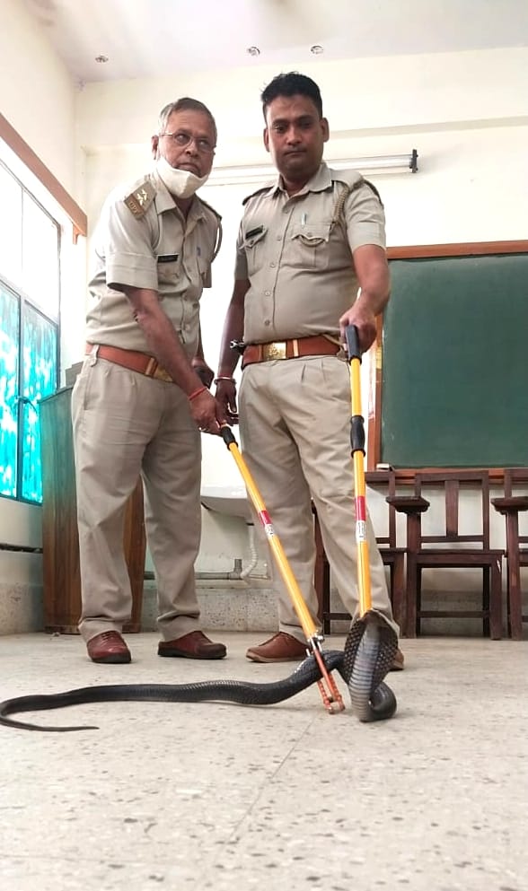 Snake entered the room of the Medical College Principal
