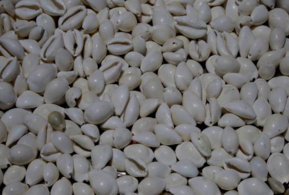 Diwali 2021 Deepawali ki safai if you found things during the cleaning of Diwali it brings wealth and prosperity