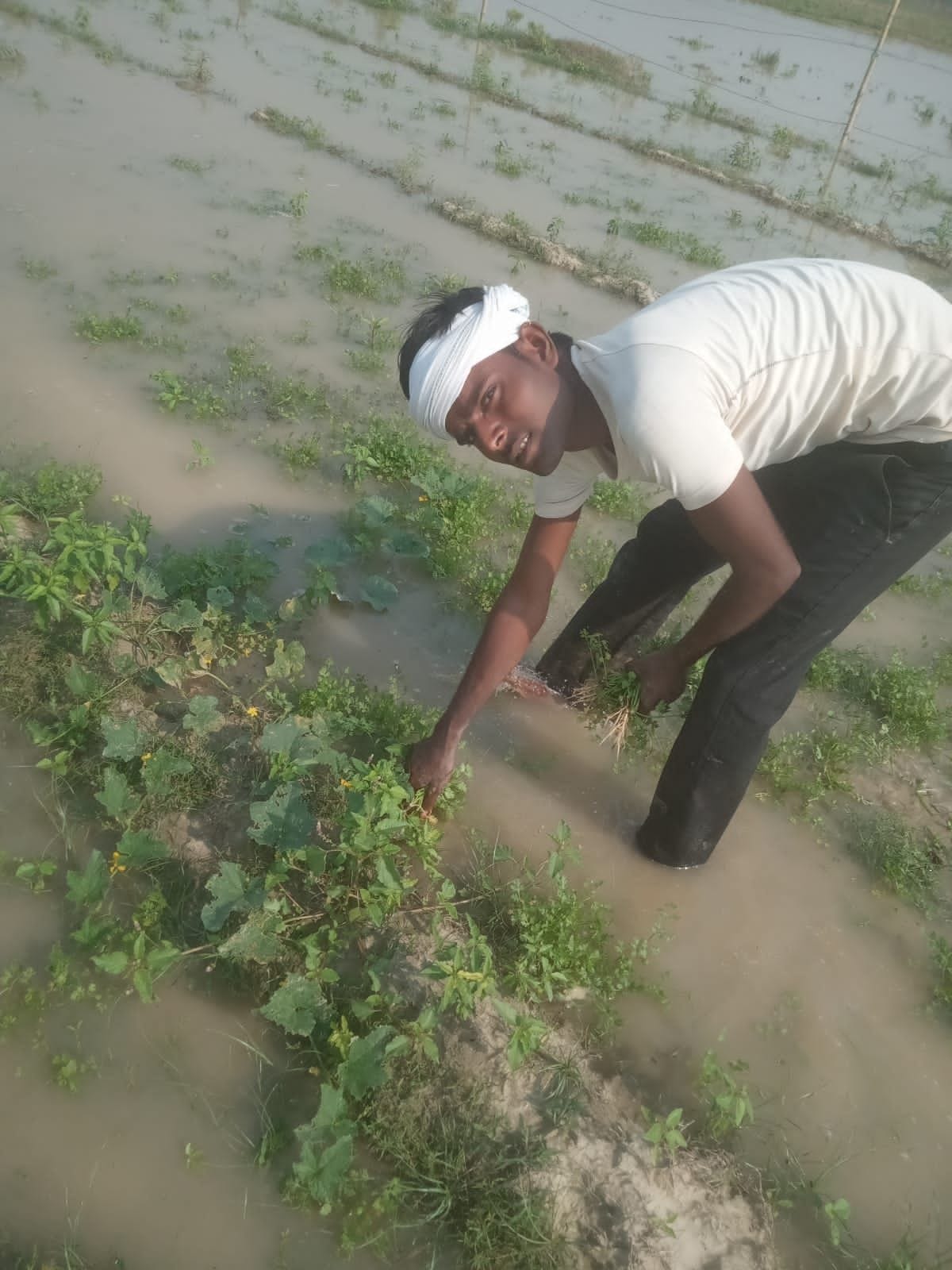 Ganges and Kali river started scaring, 20 villages surrounded by floods