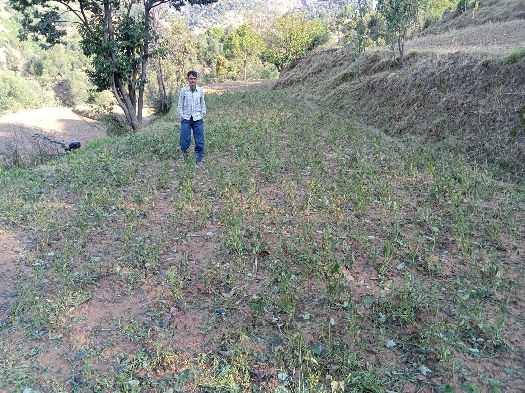 heavy rainfall problem